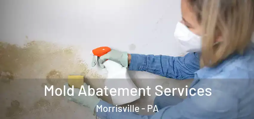 Mold Abatement Services Morrisville - PA