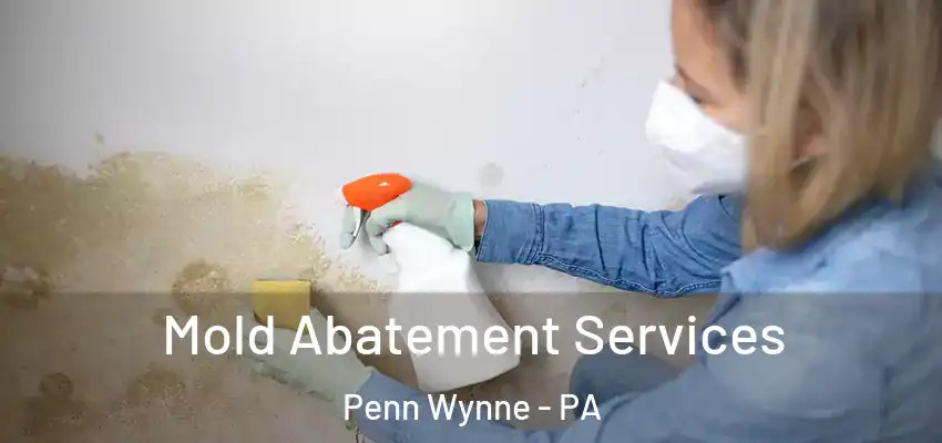  Mold Abatement Services Penn Wynne - PA