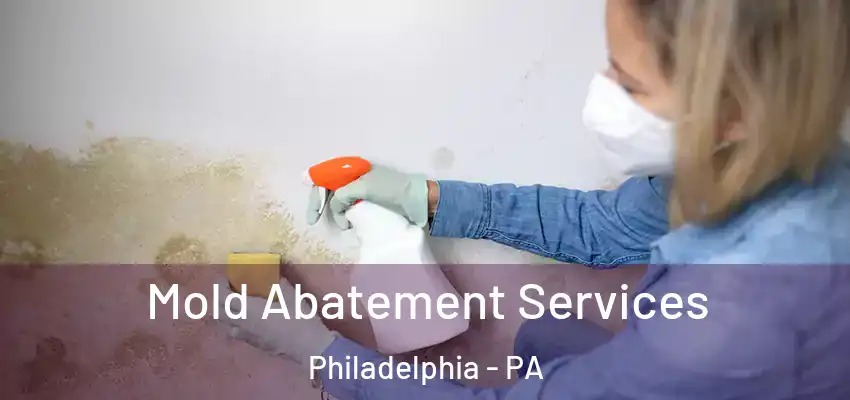 Mold Abatement Services Philadelphia - PA