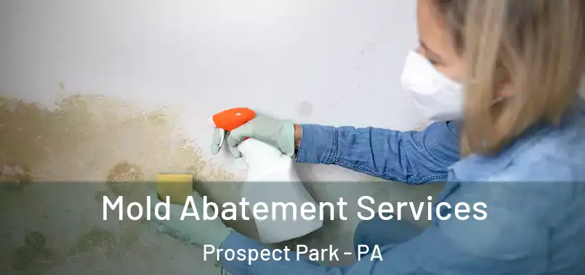  Mold Abatement Services Prospect Park - PA