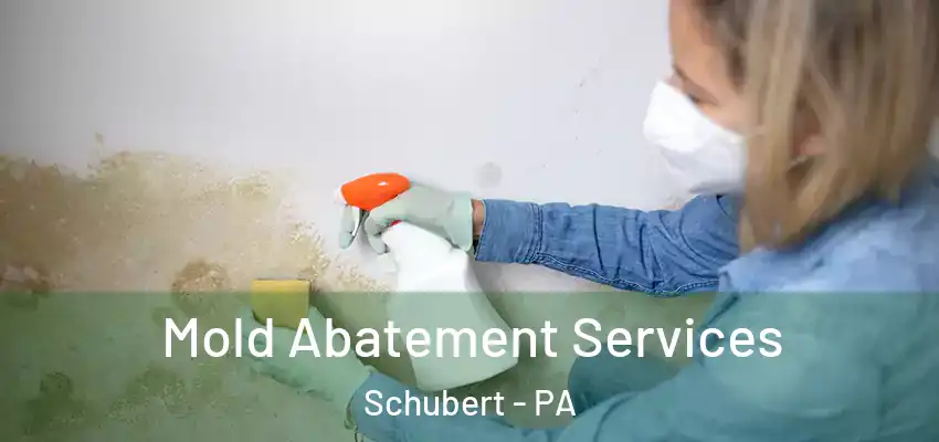  Mold Abatement Services Schubert - PA