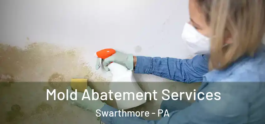 Mold Abatement Services Swarthmore - PA