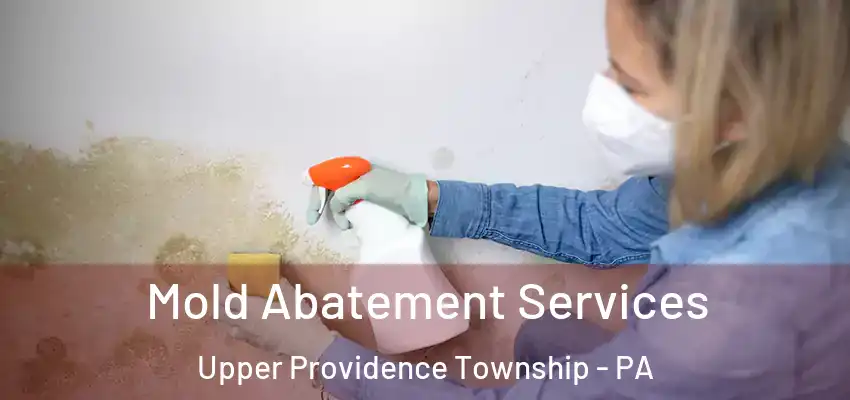 Mold Abatement Services Upper Providence Township - PA
