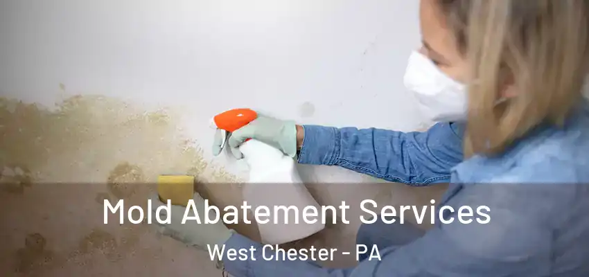 Mold Abatement Services West Chester - PA
