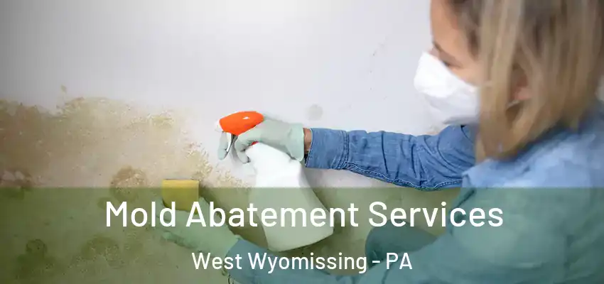 Mold Abatement Services West Wyomissing - PA