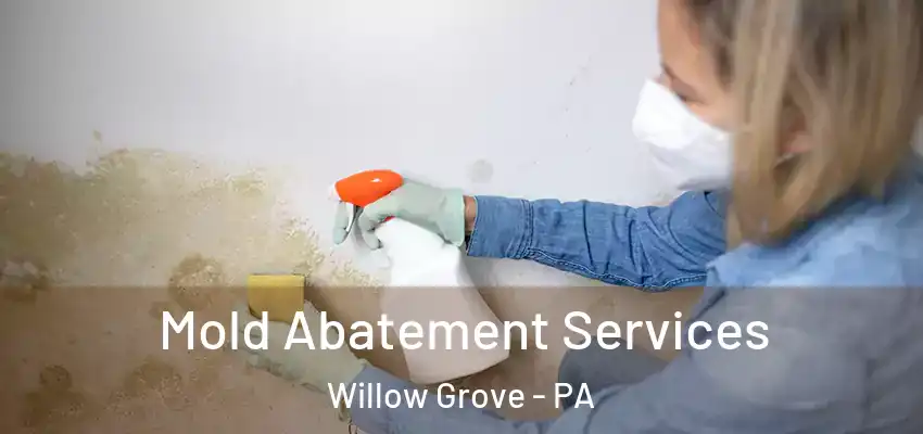  Mold Abatement Services Willow Grove - PA