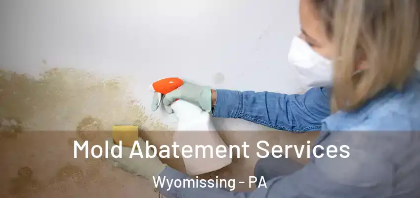  Mold Abatement Services Wyomissing - PA