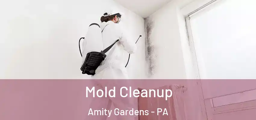 Mold Cleanup Amity Gardens - PA