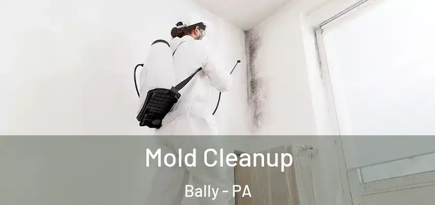 Mold Cleanup Bally - PA