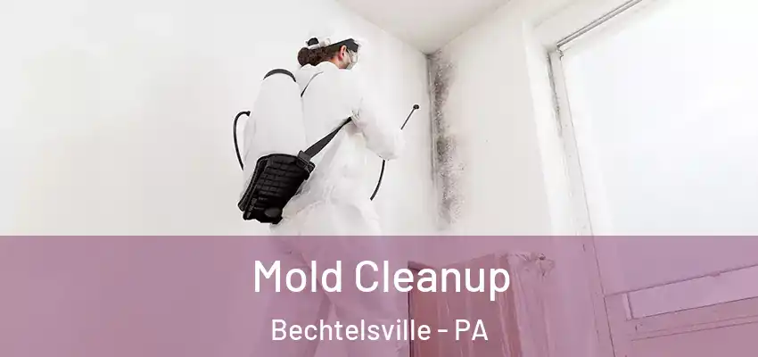  Mold Cleanup Bechtelsville - PA