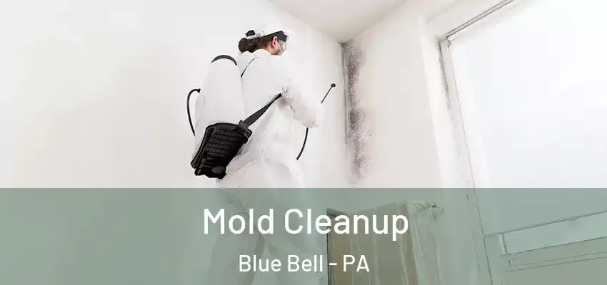 Mold Cleanup Blue Bell - PA