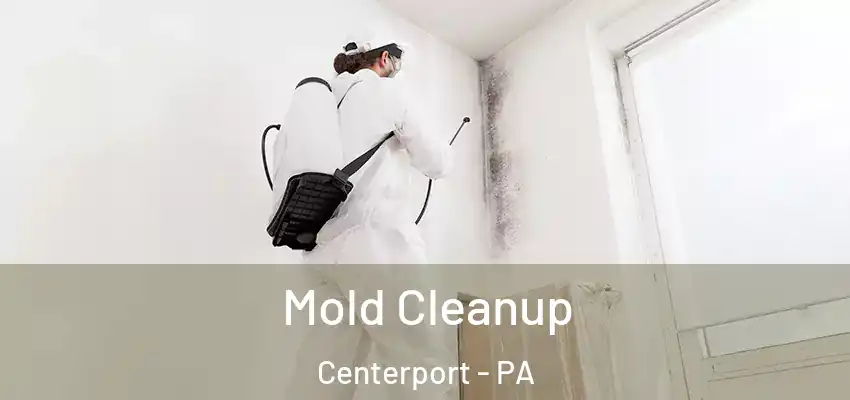 Mold Cleanup Centerport - PA
