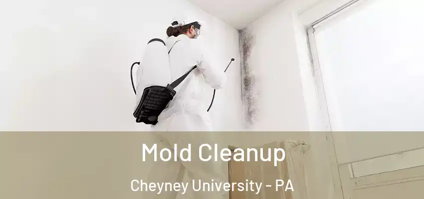 Mold Cleanup Cheyney University - PA