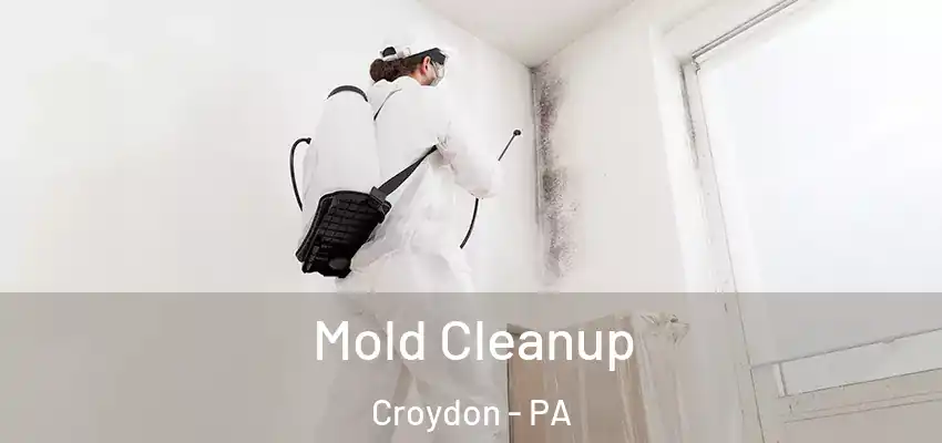 Mold Cleanup Croydon - PA