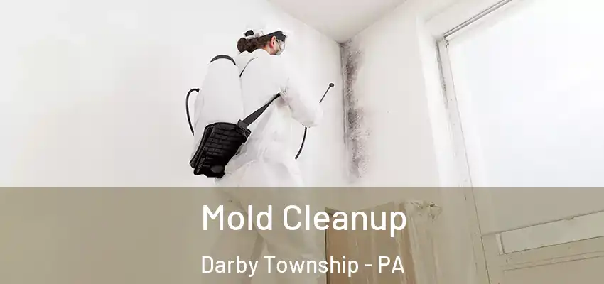 Mold Cleanup Darby Township - PA