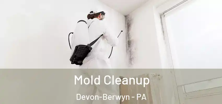 Mold Cleanup Devon-Berwyn - PA