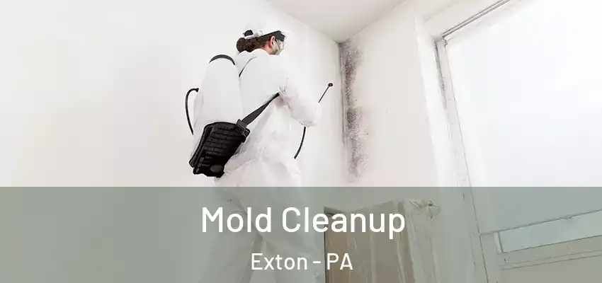 Mold Cleanup Exton - PA