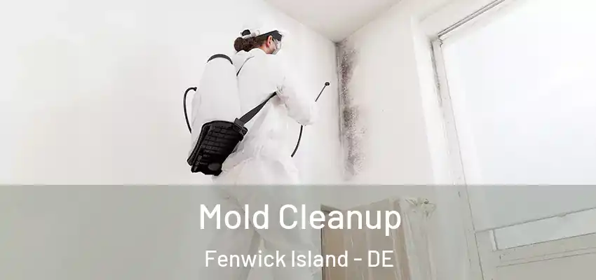 Mold Cleanup Fenwick Island - DE