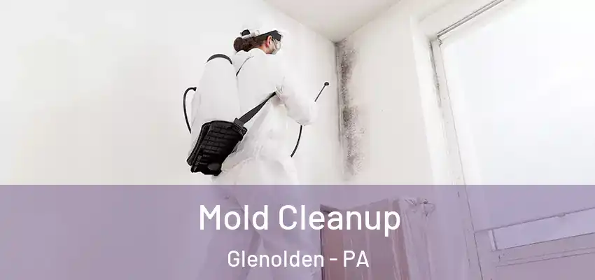  Mold Cleanup Glenolden - PA