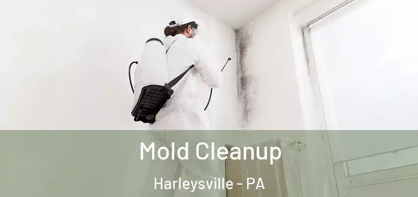 Mold Cleanup Harleysville - PA
