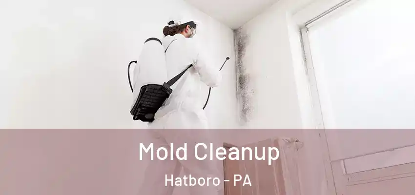 Mold Cleanup Hatboro - PA