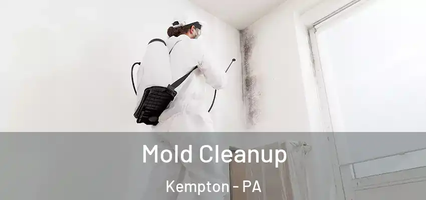 Mold Cleanup Kempton - PA