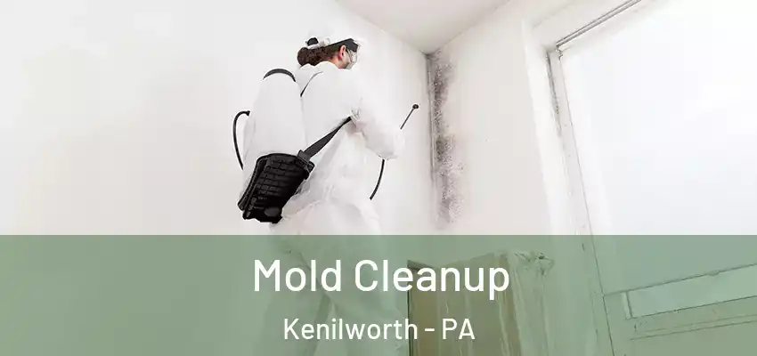  Mold Cleanup Kenilworth - PA