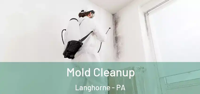 Mold Cleanup Langhorne - PA