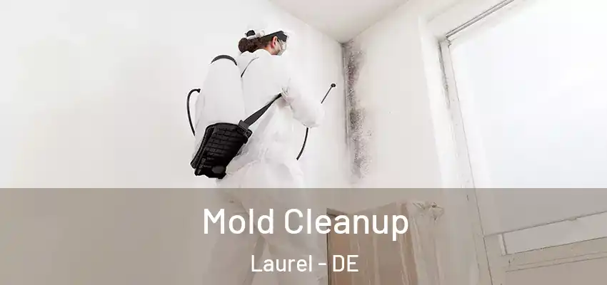 Mold Cleanup Laurel - DE