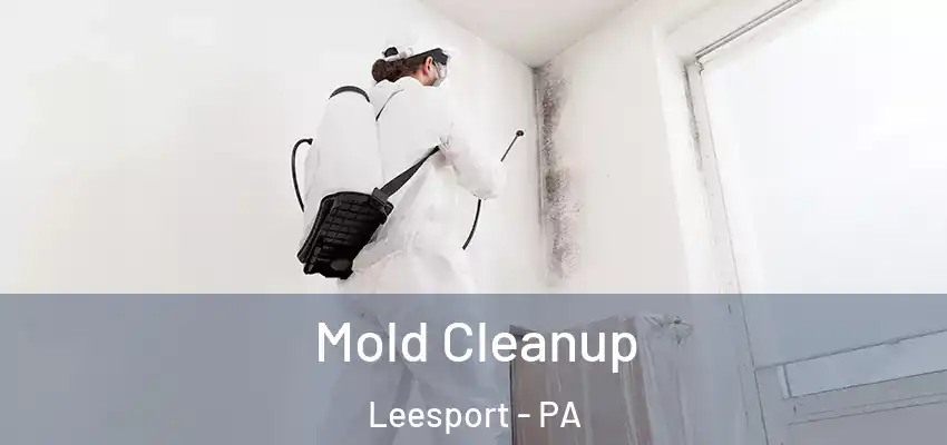 Mold Cleanup Leesport - PA