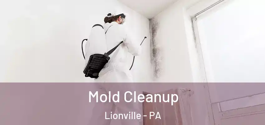  Mold Cleanup Lionville - PA