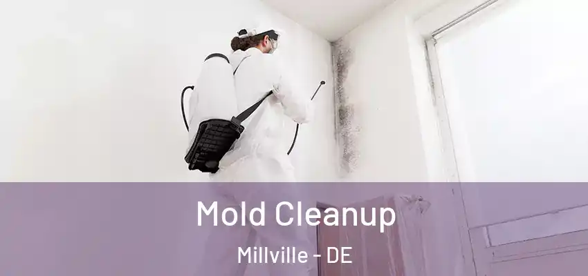 Mold Cleanup Millville - DE