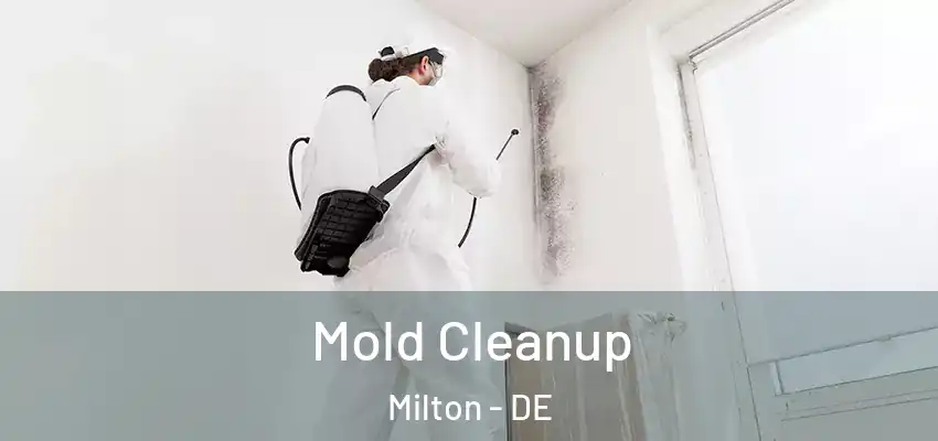  Mold Cleanup Milton - DE