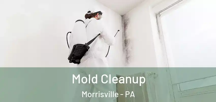 Mold Cleanup Morrisville - PA