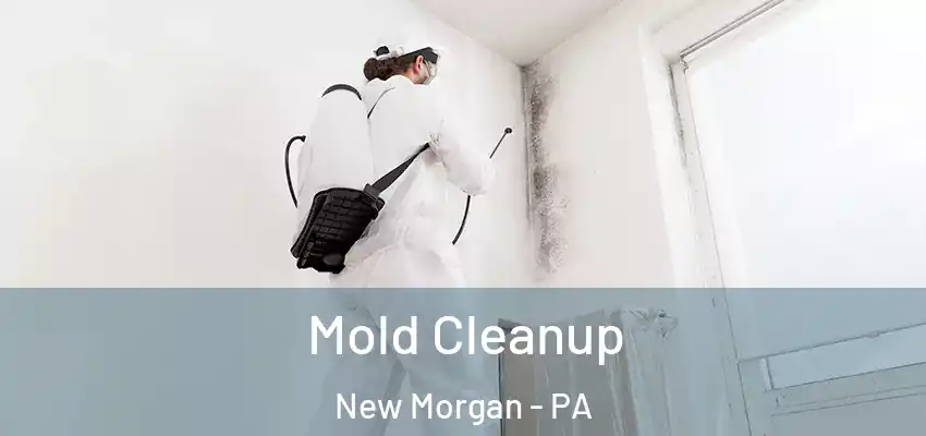  Mold Cleanup New Morgan - PA