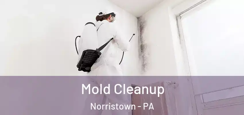 Mold Cleanup Norristown - PA