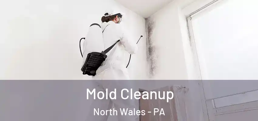  Mold Cleanup North Wales - PA