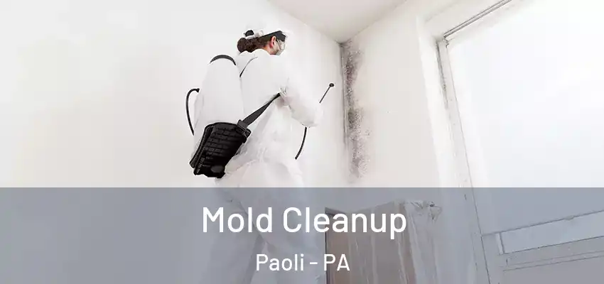  Mold Cleanup Paoli - PA