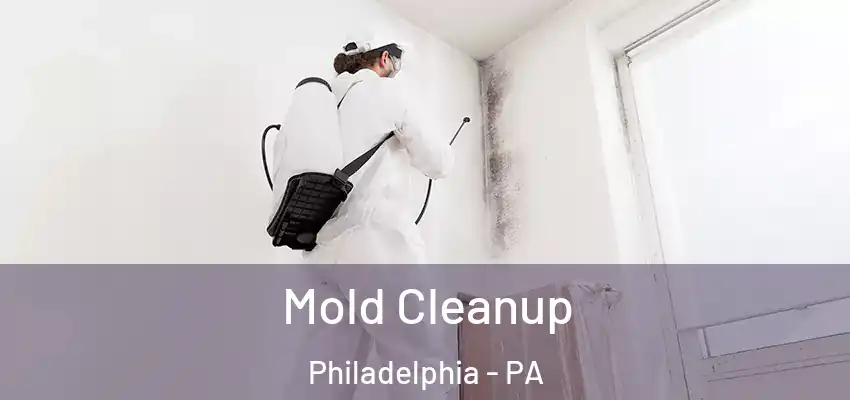 Mold Cleanup Philadelphia - PA