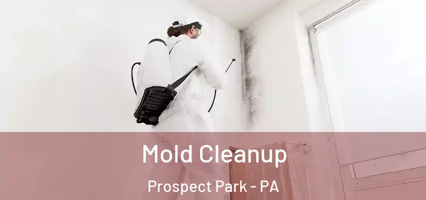  Mold Cleanup Prospect Park - PA