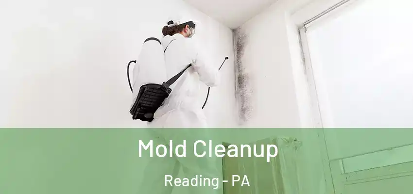 Mold Cleanup Reading - PA