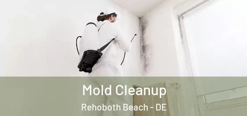 Mold Cleanup Rehoboth Beach - DE