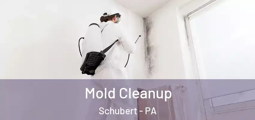Mold Cleanup Schubert - PA