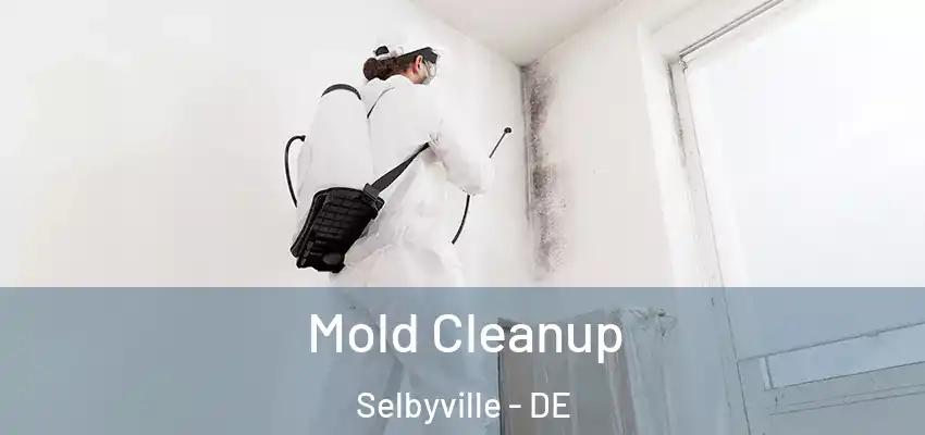 Mold Cleanup Selbyville - DE