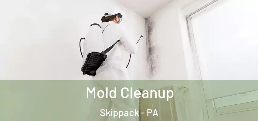  Mold Cleanup Skippack - PA