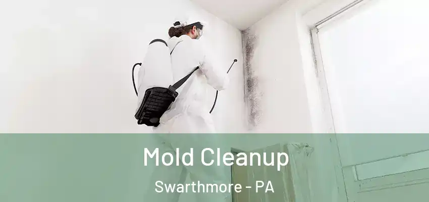  Mold Cleanup Swarthmore - PA
