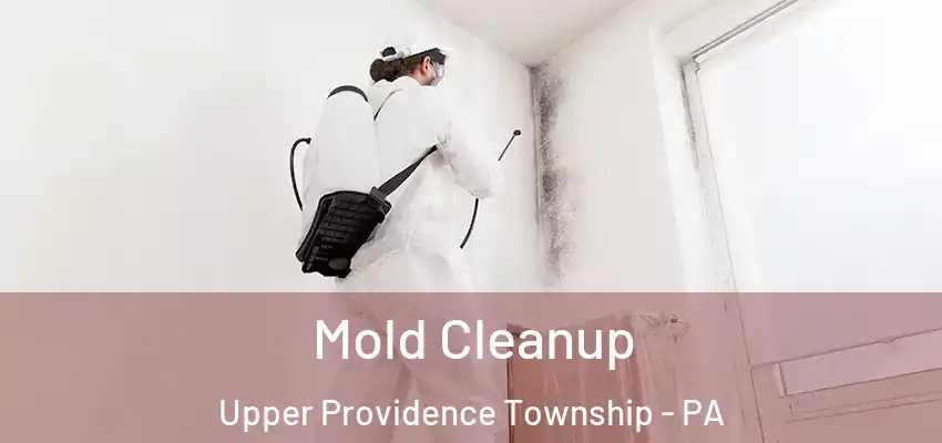  Mold Cleanup Upper Providence Township - PA