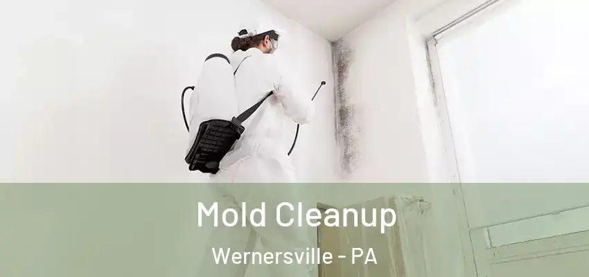  Mold Cleanup Wernersville - PA