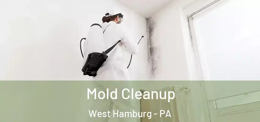 Mold Cleanup West Hamburg - PA