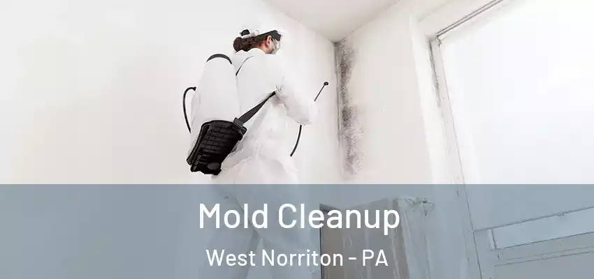 Mold Cleanup West Norriton - PA